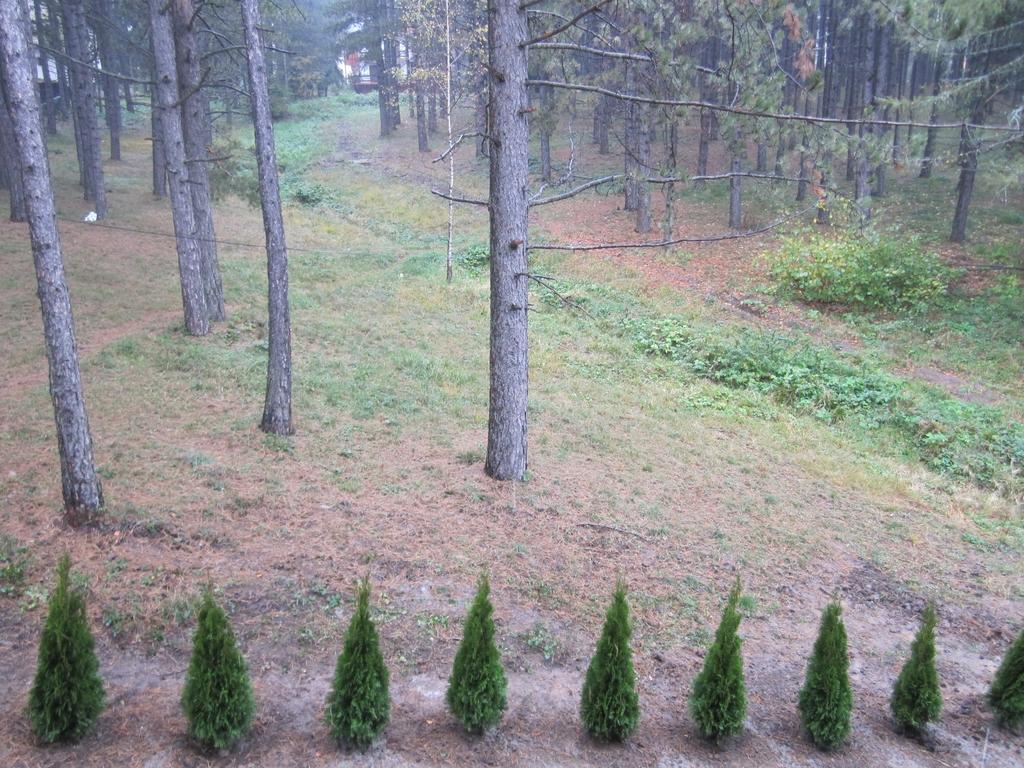 Apartment Kiki Zlatibor Szoba fotó